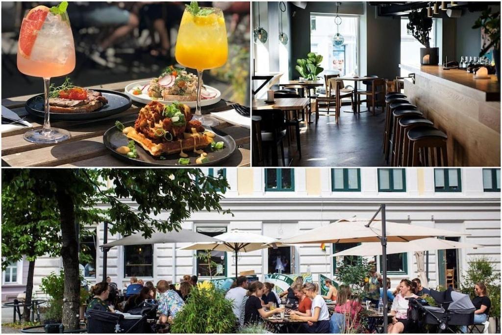 Lovely Central Apartment With Two Large Bedrooms Nearby Oslo Opera, Vis A Vis Botanical Garden Eksteriør bilde